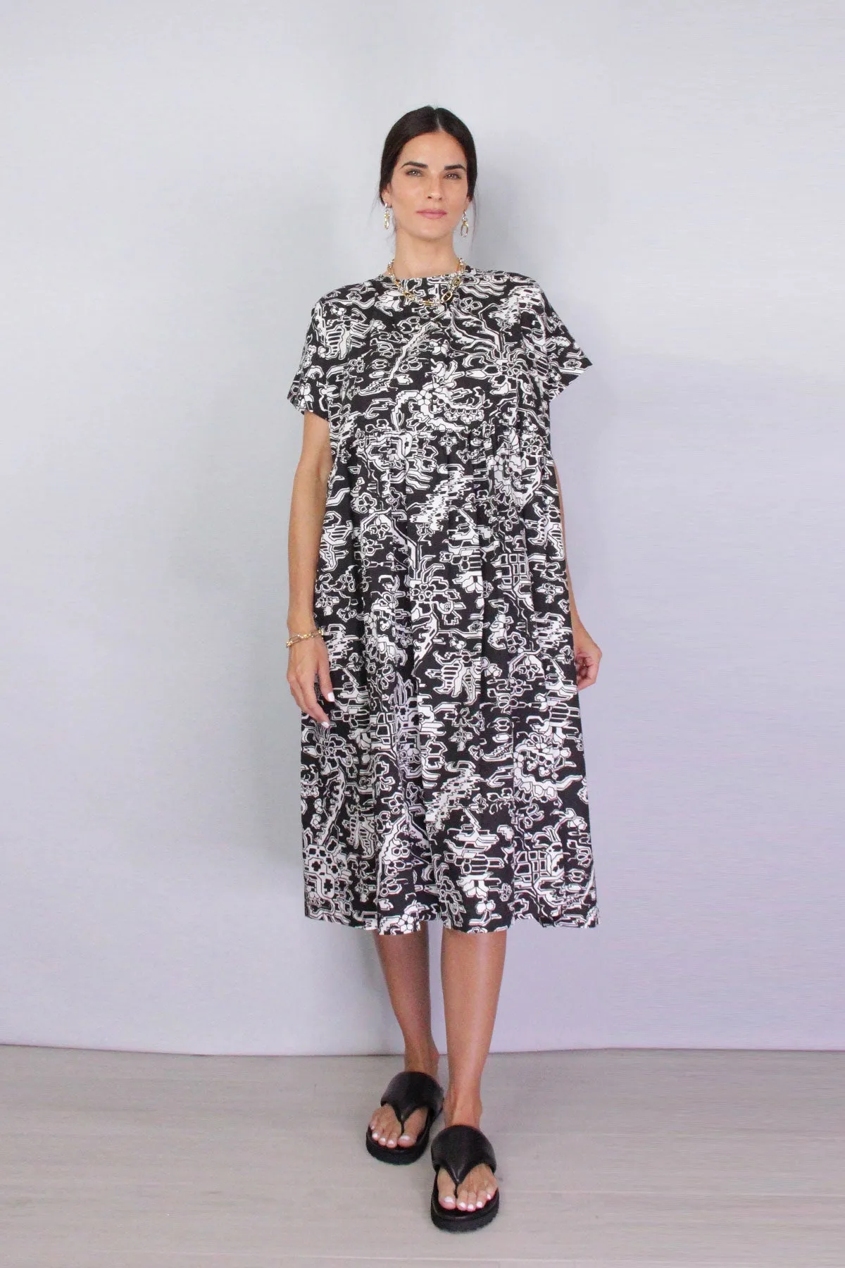 Caccia Dress in Black Multi